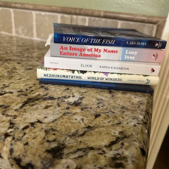 Bundle of Five Books from Independent Presses - Picture 1 of 1